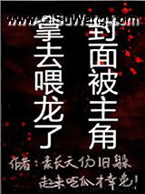 龙骑士每日训练心得小说