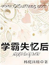 学霸失忆后小说