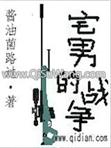 宅男的战争小说