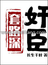 [古典名著同人]奸臣套路深小说