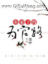 农家子的为官路小说