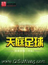 天庭足球小说