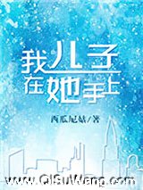 我儿子在她手上.小说