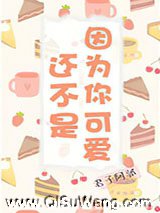 还不是因为你可爱呀小说
