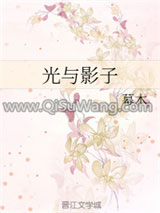 光与影子小说