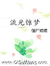 流光惊梦小说