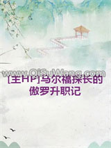 [主HP]马尔福探长的傲罗升职记小说