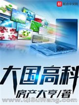 大国高科小说