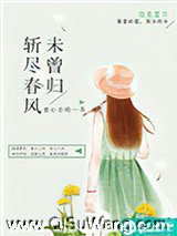 斩尽春风未曾归小说