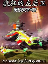疯狂的左后卫小说