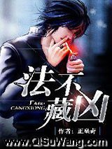 法不藏凶小说