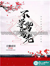 不学鸳鸯老小说