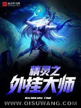 精灵之外挂大师小说
