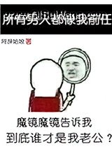 所有男人都像我前任小说