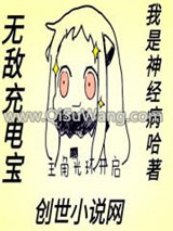 无敌充电宝小说