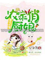 重生九零：农家俏厨娘小说