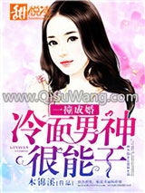 一撞成婚：冷面男神很能干小说