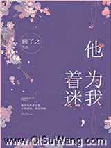 他为我着迷小说