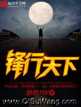 锋行天下小说