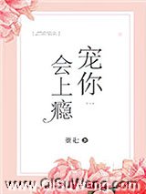 宠你会上瘾小说