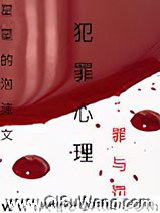 犯罪心理：罪与罚小说