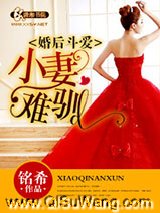 婚后斗爱之小妻难驯小说