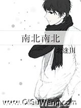 南北南北小说