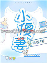 小傻妻小说