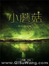 小蘑菇(末世)小说