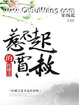 红楼之惹不起的贾赦小说