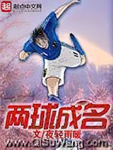 两球成名小说