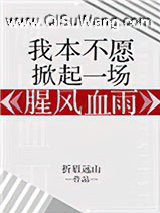 我本不愿掀起一场腥风血雨小说