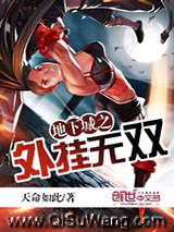 地下城之外挂无双小说