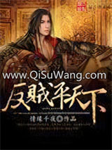 反贼平天下小说