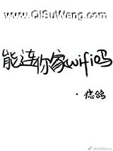 能连你家WIFI吗?小说