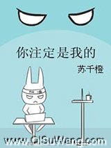 你注定是我的小说