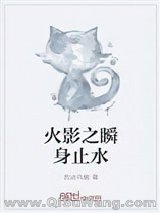 火影之瞬身止水小说
