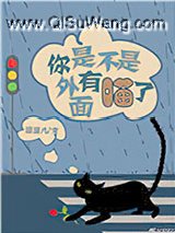 你是不是外面有喵了！小说