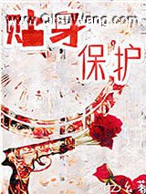 贴身保护小说