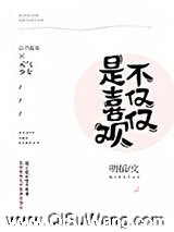 不仅仅是喜欢你小说