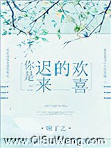 你是迟来的欢喜小说