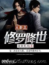 火影之修罗降世小说