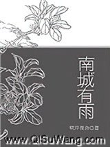 南城有雨小说