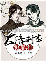 大清刑事犯罪科小说