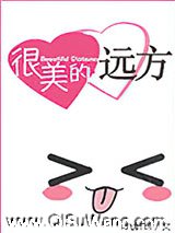 很美的远方小说