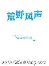 荒野风声小说