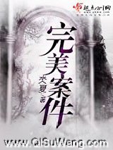 完美谋杀案小说