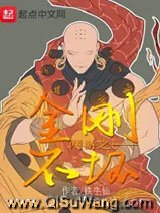 网游之金刚不坏小说