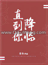 直到你降临小说