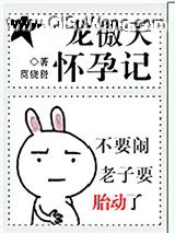 龙傲天怀孕记小说